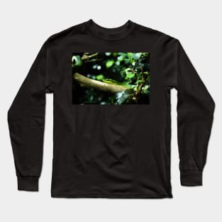 Grüne Mamba / Swiss Artwork Photography Long Sleeve T-Shirt